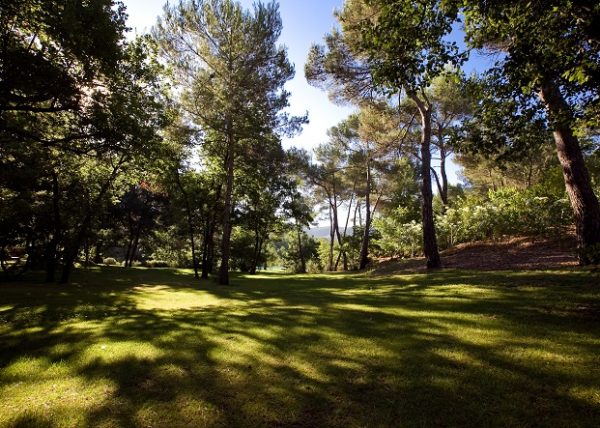 cezae-jardin-paisible-aix- (10)