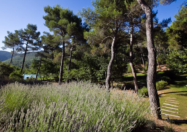 cezae-jardin-paisible-aix (3)