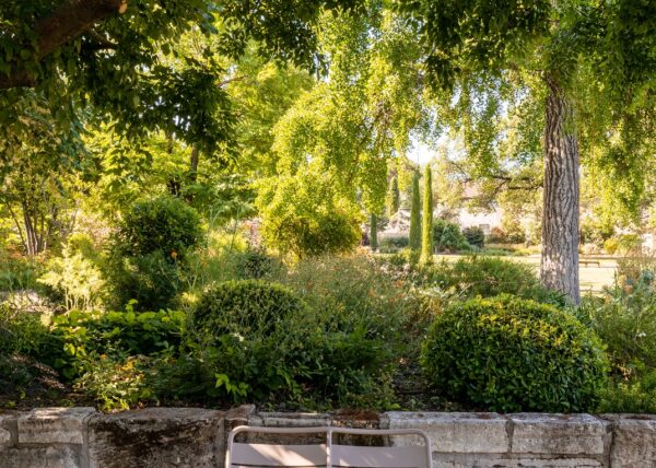 Cezae - Jardin charmant - St Remy de Provence 06
