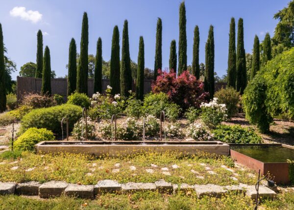 Cezae - Jardin charmant - St Remy de Provence 07