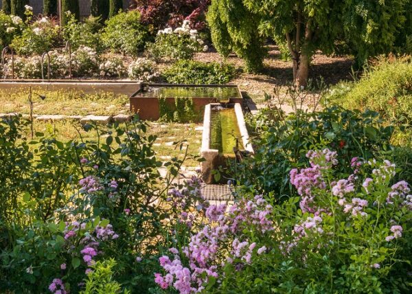 Cezae - Jardin charmant - St Remy de Provence 09